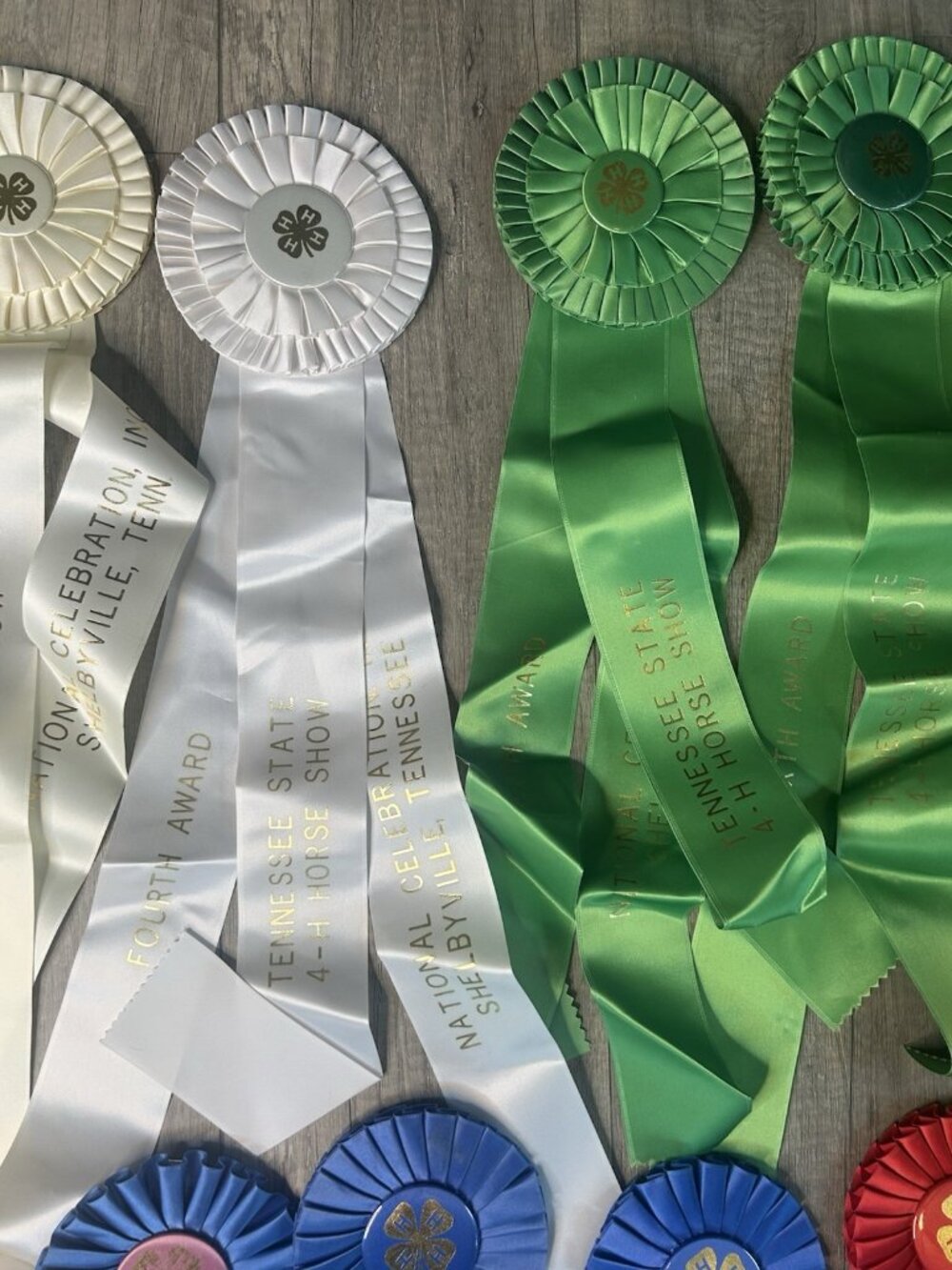 Show Ribbons 4-H Club Rosettes Craft Equestrian Tennessee Shelbyville Lot Of 19 - Picture 10 of 16